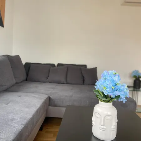 Luxury Apartment With Air Conditioning & Jaccuzzi Near Frankfurt Wiesbaden Hofheim am Taunus Exterior photo