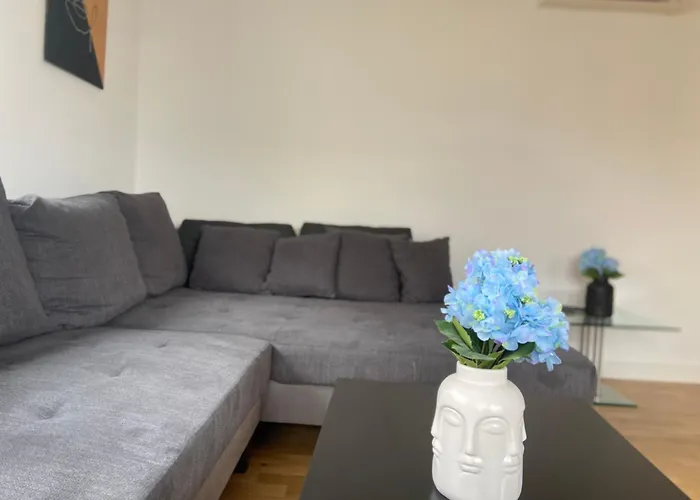 Luxury Apartment With Air Conditioning & Jaccuzzi Near Frankfurt Wiesbaden