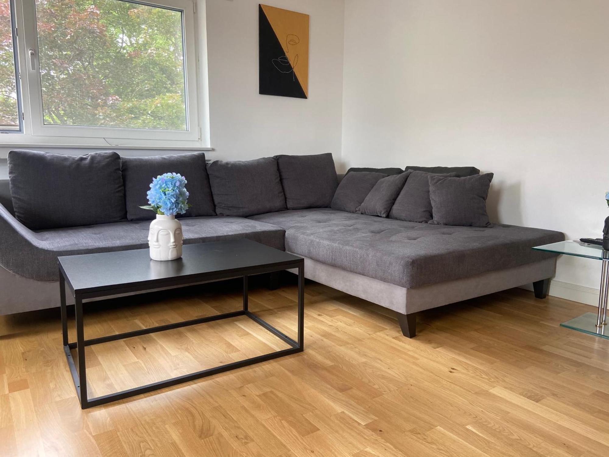 Luxury With Air Conditioning & Jaccuzzi Near Frankfurt Wiesbaden Apartment Hofheim am Taunus