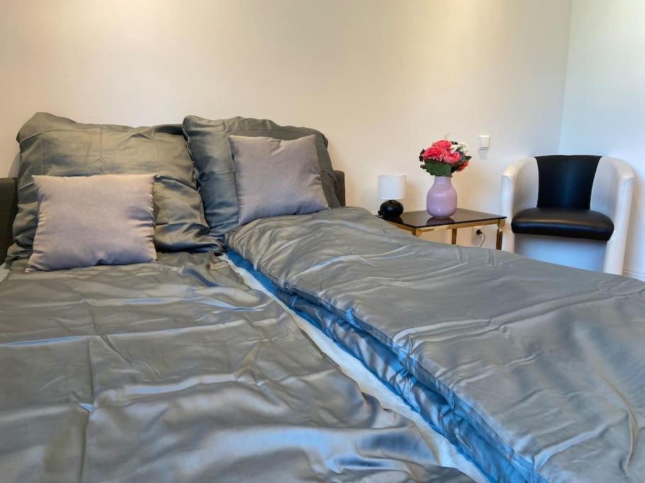 Luxury With Air Conditioning & Jaccuzzi Near Frankfurt Wiesbaden * Hofheim am Taunus